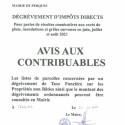 Dégrèvements d’impôts directs