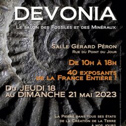 Saison culturelle : Devonia, le salon des fossiles et des minéraux