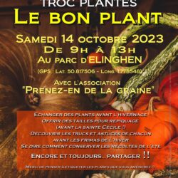 Le bon plant… Pour tous !