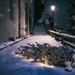 Nous prenons vos sapins en charge