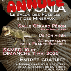 Rappel : Annulation du Salon des Fossiles et des Minéraux