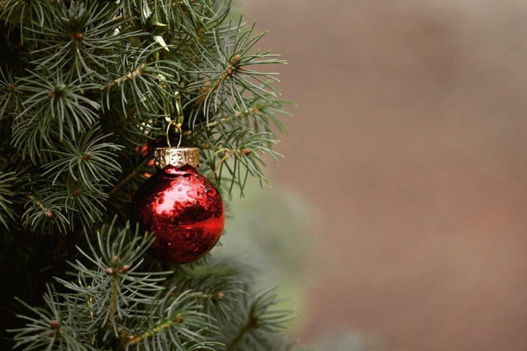 Lire la suite à propos de l’article L’idée festive du Conseil Municipal des Enfants