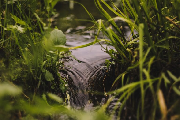 Lire la suite à propos de l’article Arrêté préfectoral portant prescriptions particulières à déclarations au titre du code de l’environnement