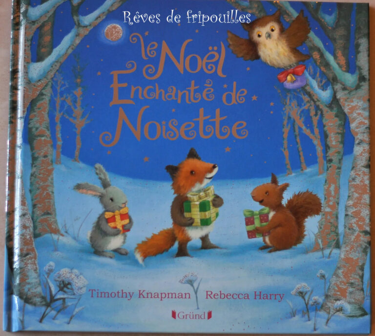 Lire la suite à propos de l’article LE CALENDRIER DE L’AVENT LITTÉRAIRE DE VANESSA – JOUR 10