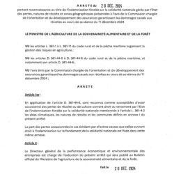 ARRÊTÉ 20 DÉCEMBRE 2024