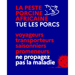 VIGILANCE PESTE PORCINE