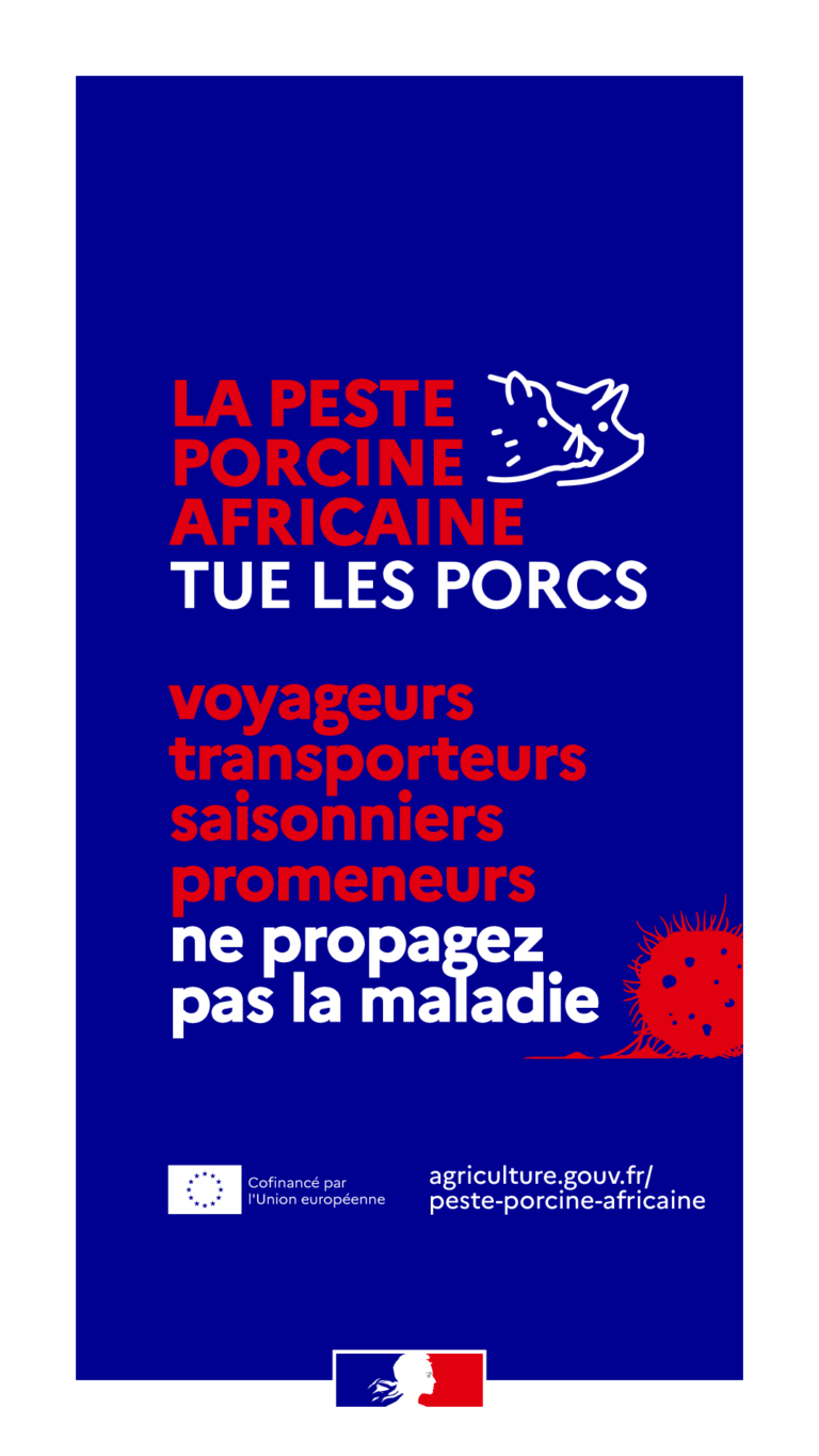 Lire la suite à propos de l’article VIGILANCE PESTE PORCINE